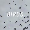 Bobby Nourmand - Album Birds