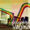 cupcakKe - Album Vagina