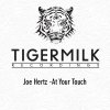 Joe Hertz - Album At Your Touch