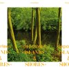 Deportees - Album Islands & Shores