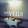 The Veils - Album More Heat Than Light
