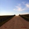 Tea - Album Dreams