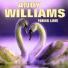 Andy Williams - Album Young Love