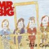 Mr. Big - Album Take Cover