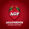 Agapornis - Album Agapornis - Volando Con Ritmo