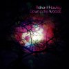 Richard Hawley - Album Down in the Woods