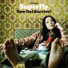 Superfly - Album How Do I Survive?