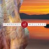 Klaus Schønning - Album Symphonies of Wellness