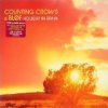 Counting Crows - Album Holiday in Spain