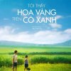 Nhac Tre - Album Thằng Cuội - Tôi Thấy Hoa Vàng Trên Cỏ Xanh