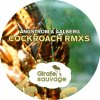 Angstrom & Aalberg - Album Cockroach Remixes