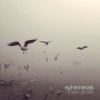 http://s.mxmcdn.net/images-storage/albums/0/3/0/1/4/0/32041030.jpg