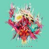 Cocofunka - Album Chúcaro