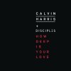 Calvin Harris & Disciples - Album How Deep Is Your Love