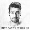 Rajiv Dhall - Album Just Can't Let Her Go