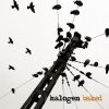 Halogen - Album Baked