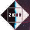 ZIBRA - Album Wasted days