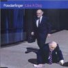 Powderfinger - Album Like a Dog