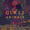 Glass Animals - Album Pools