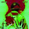 LINKIN PARK - Album Burning in the Skies