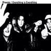 Phoenix - Album Everything Is Everything
