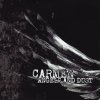 Carmen - Album Angels and Dust