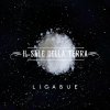 Ligabue - Album Il sale della terra