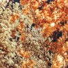 Future Islands - Album In the Fall