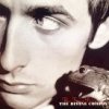 The Divine Comedy - Album The Frog Princess