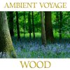 http://s.mxmcdn.net/images-storage/albums/0/6/0/3/4/5/31543060.jpg