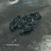 http://s.mxmcdn.net/images-storage/albums/0/6/1/0/0/1/29100160.jpg