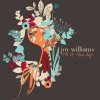 Joy Williams - Album One of Those Days