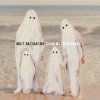 Matt Nathanson - Album Show Me Your Fangs