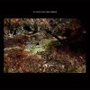 Daniel Norgren - Album The Green Stone