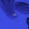 Night Lovell - Album Still Cold / Pathway Private