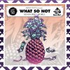 What So Not - Album 7 Dollar Bill EP