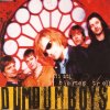 Dumdum Boys - Album Mitt hjertes trell