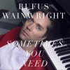 Rufus Wainwright - Album Sometimes You Need