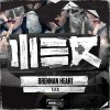 Brennan Heart - Album F.I.F.O.