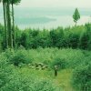http://s.mxmcdn.net/images-storage/albums/0/7/2/4/2/6/30624270.jpg
