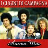 I Cugini di Campagna - Album Anima mia in concerto