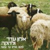 אלון עדר ולהקה - Album סיכום החיים עד עכשיו