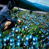 http://s.mxmcdn.net/images-storage/albums/0/9/9/1/1/4/26411990.jpg