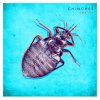 Amatria - Album Chinches