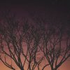 Rico Blanco - Album All the Seconds In Our Hours