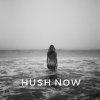 Sunny Levine - Album Hush Now