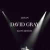 David Gray - Album Live In Slow Motion