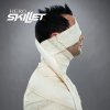 Skillet - Album Hero