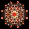 http://s.mxmcdn.net/images-storage/albums/1/3/2/0/1/0/30010231.jpg