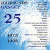 Iggesundsgänget - Album 25 År 1973-1998
